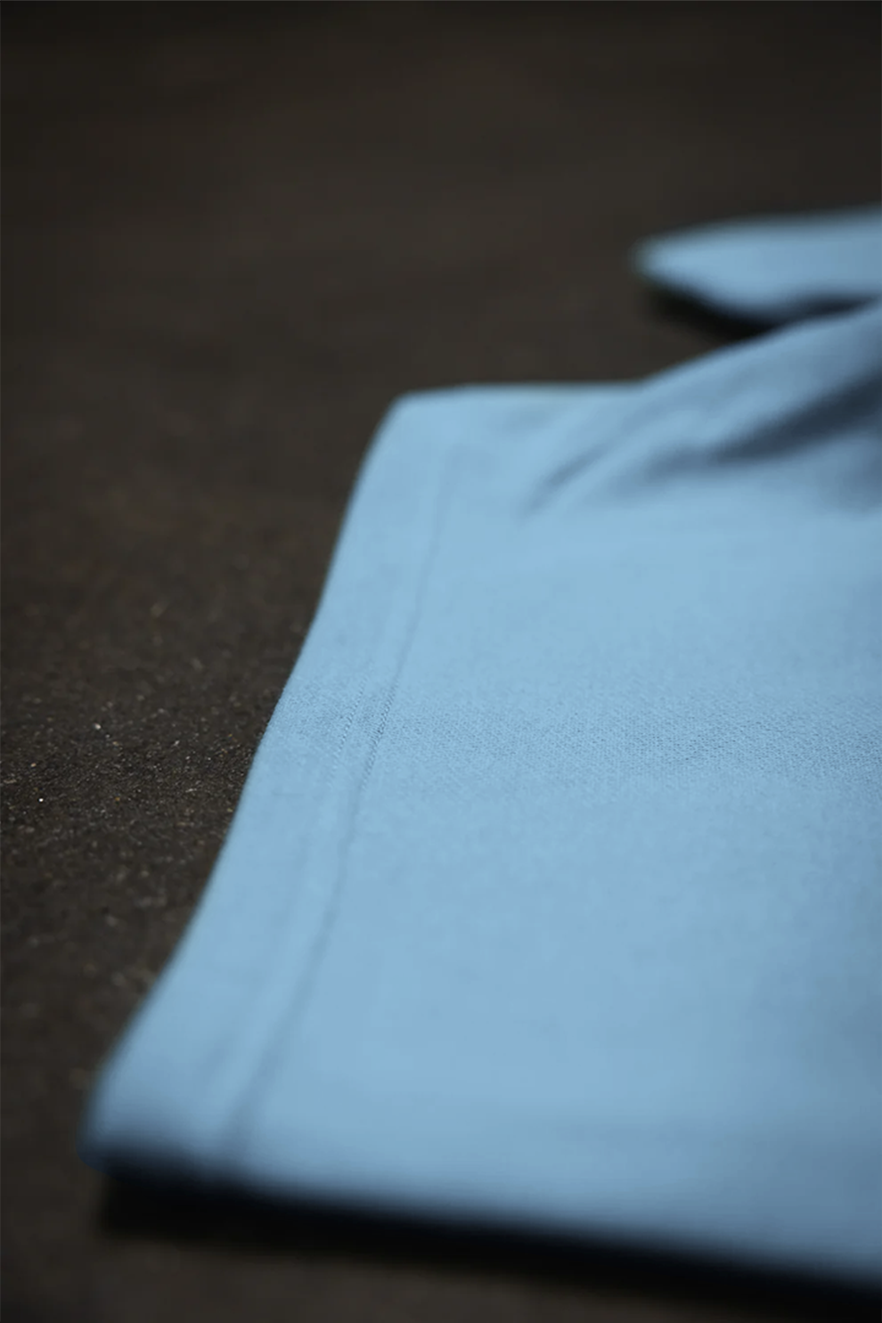 Canvas Fleece Shorts - Smokey Blue