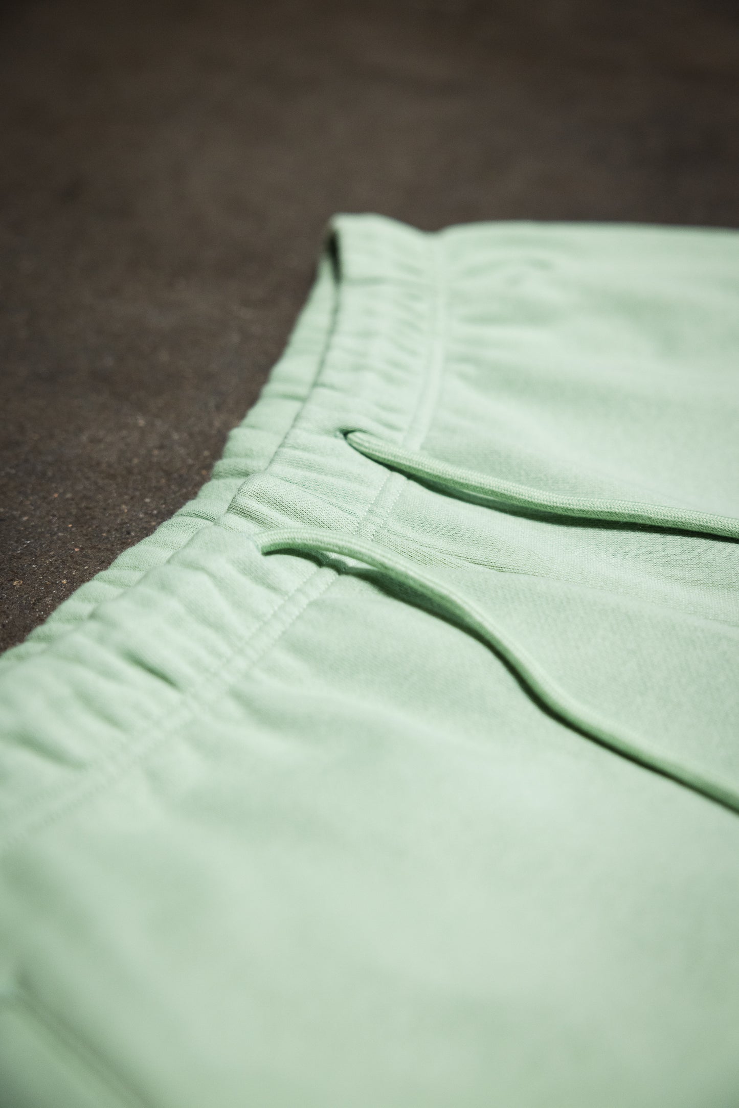 Canvas Fleece Shorts - Dusty Mint