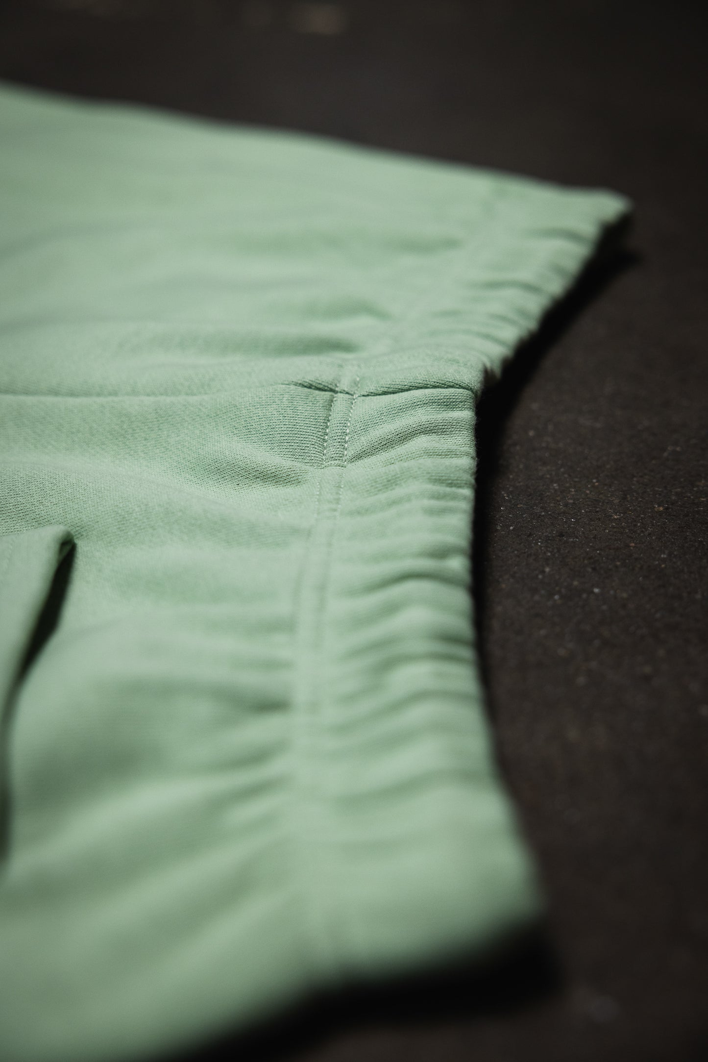 Canvas Fleece Shorts - Dusty Mint