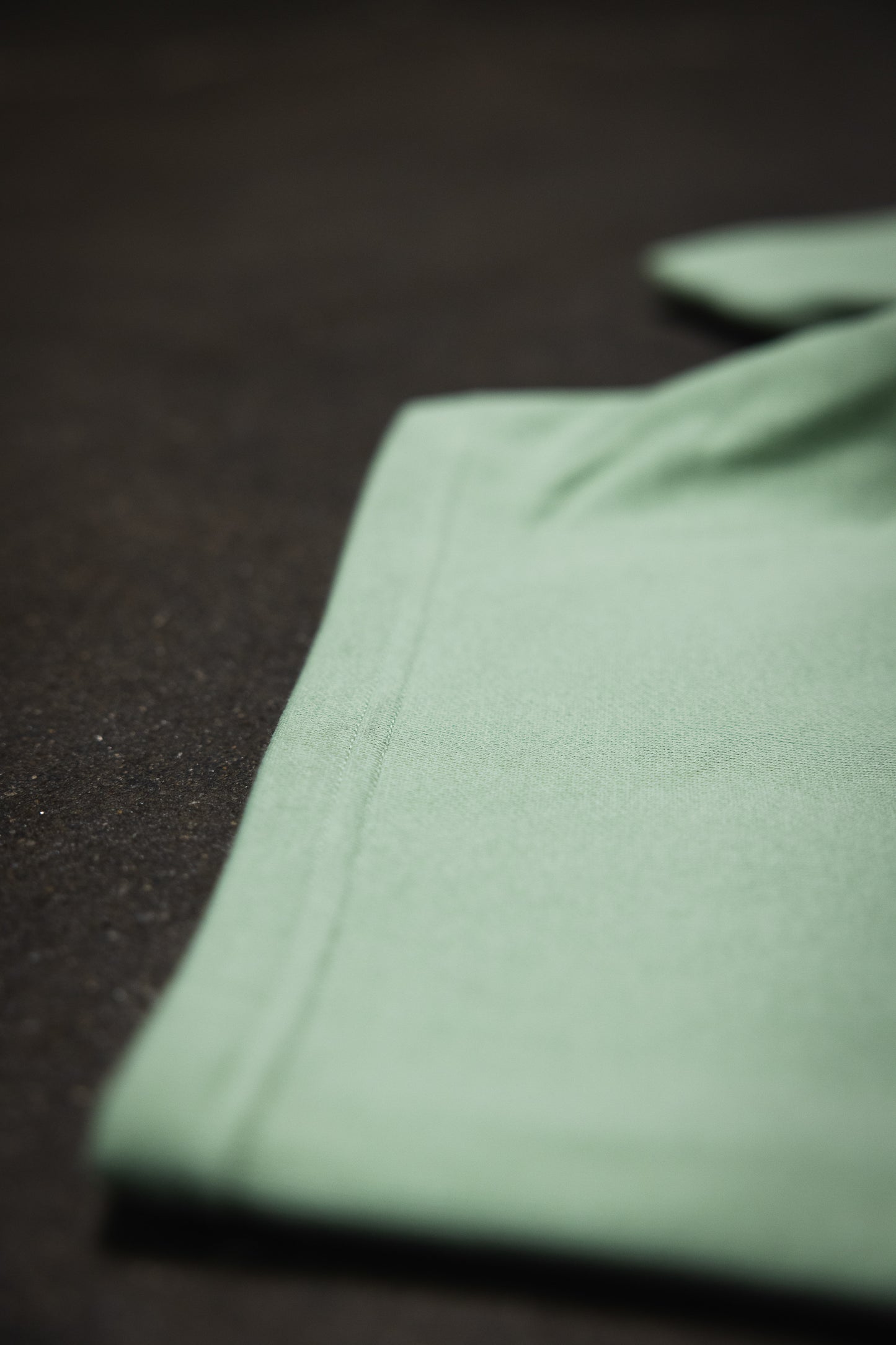 Canvas Fleece Shorts - Dusty Mint