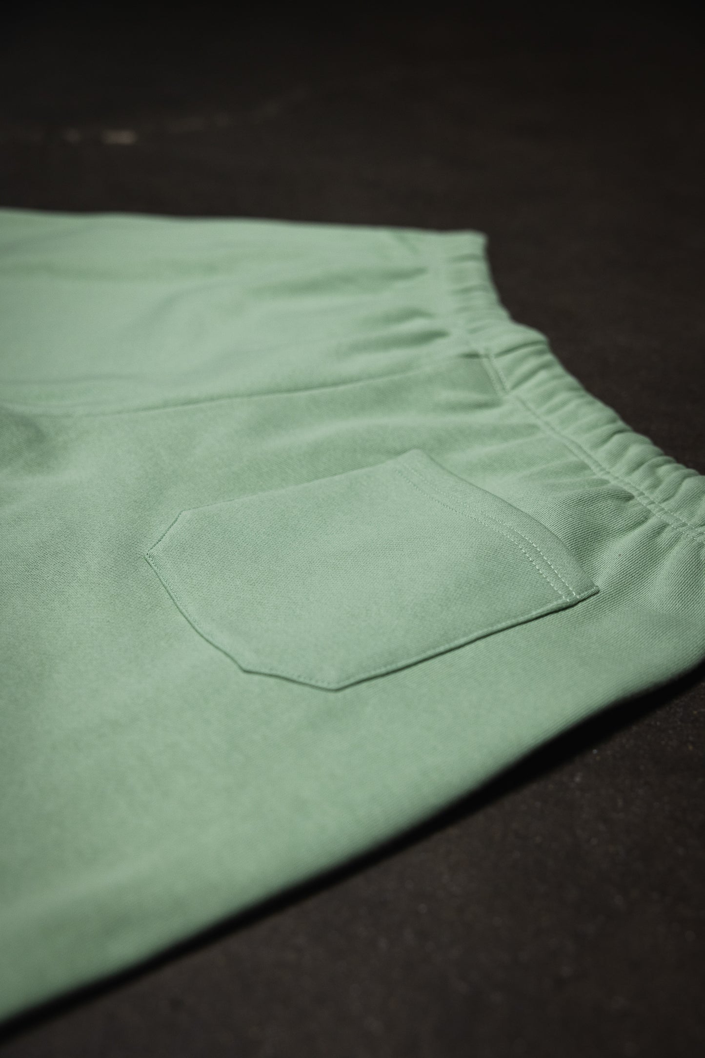 Canvas Fleece Shorts - Dusty Mint